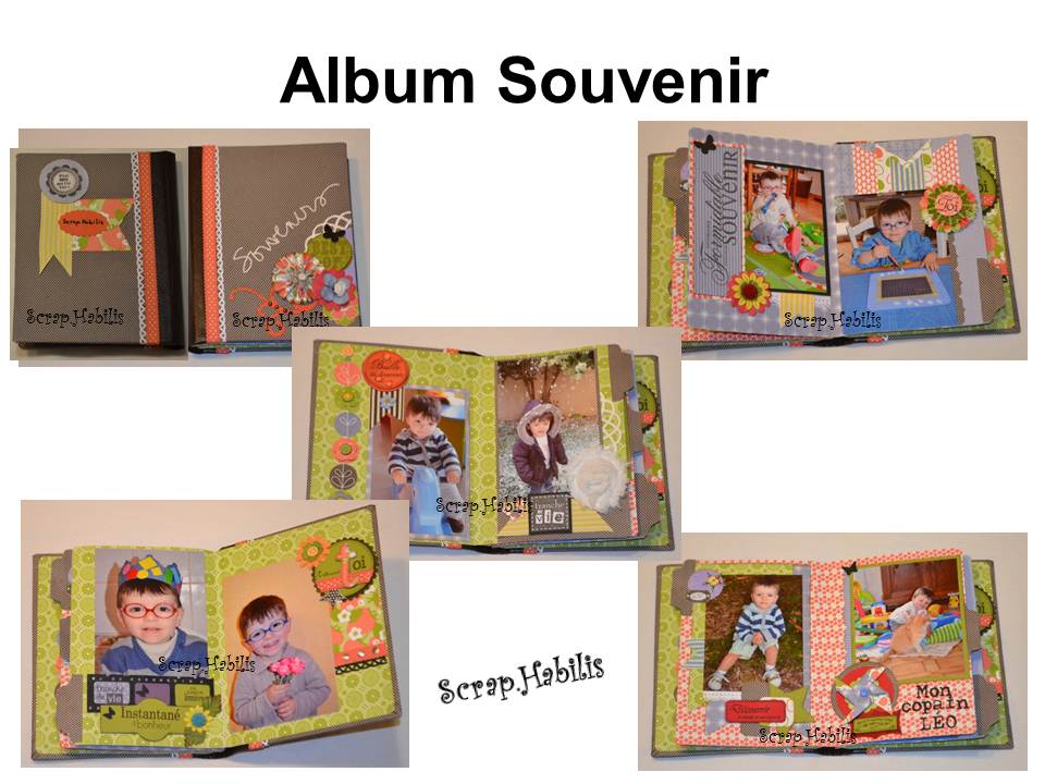 Album souvenir